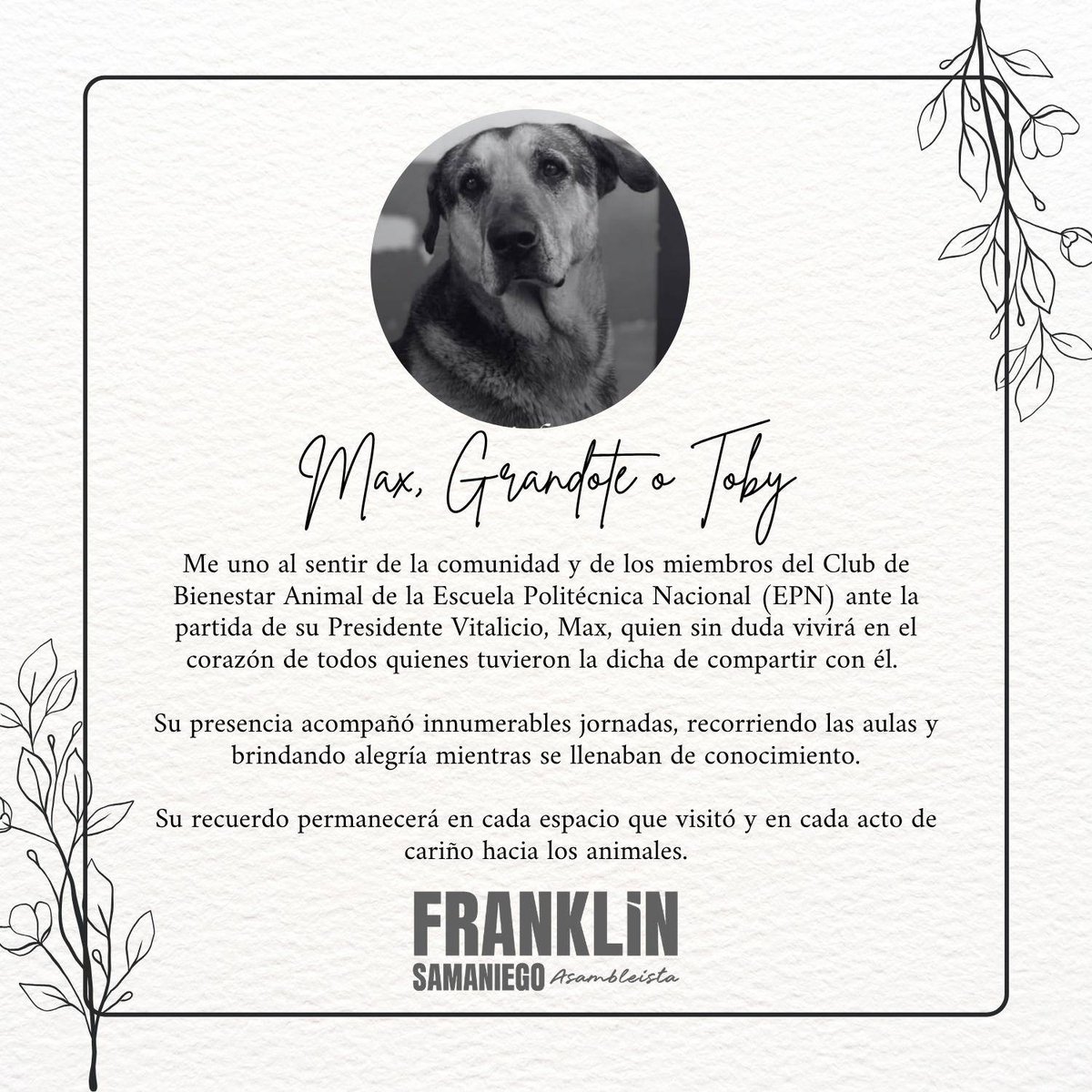 Franklin Samaniego tweet media