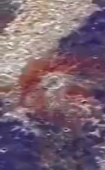 JUST_THE_TIP_I_PROMISE tweet media