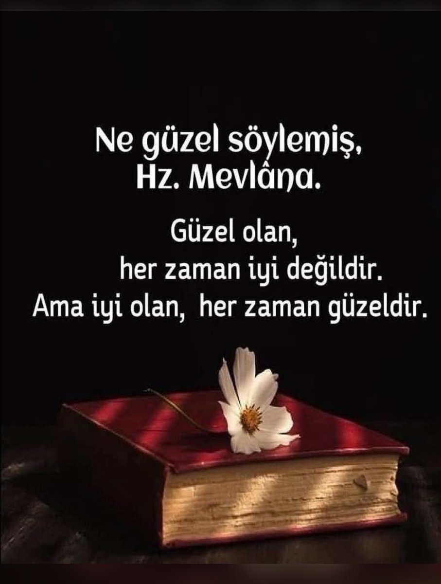 EmıneAras 🇹🇷 tweet media