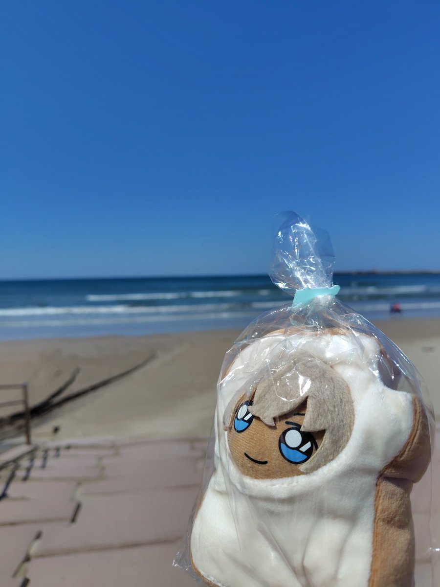 かしわ餅👑 tweet media