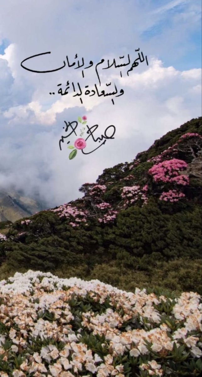 astbrg000's tweet photo. أتمنى أن نتعافى من الأشياء التي لم يعتذر لنا عنها أحد قط 🌬️

#صباح_الخير_ https://t.co/zoxXFA09TF