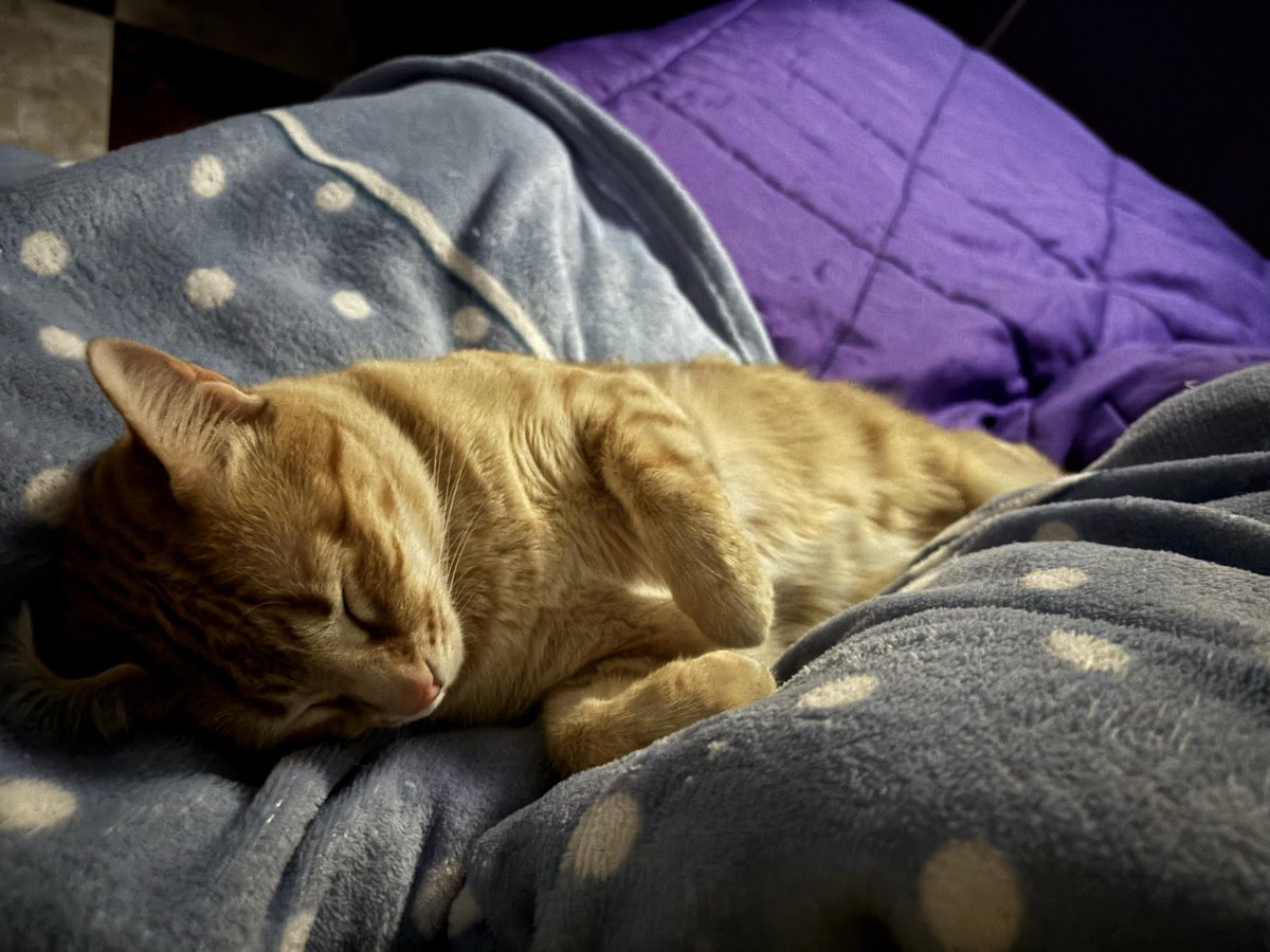 Yo únicamente quiero vivir como ella.