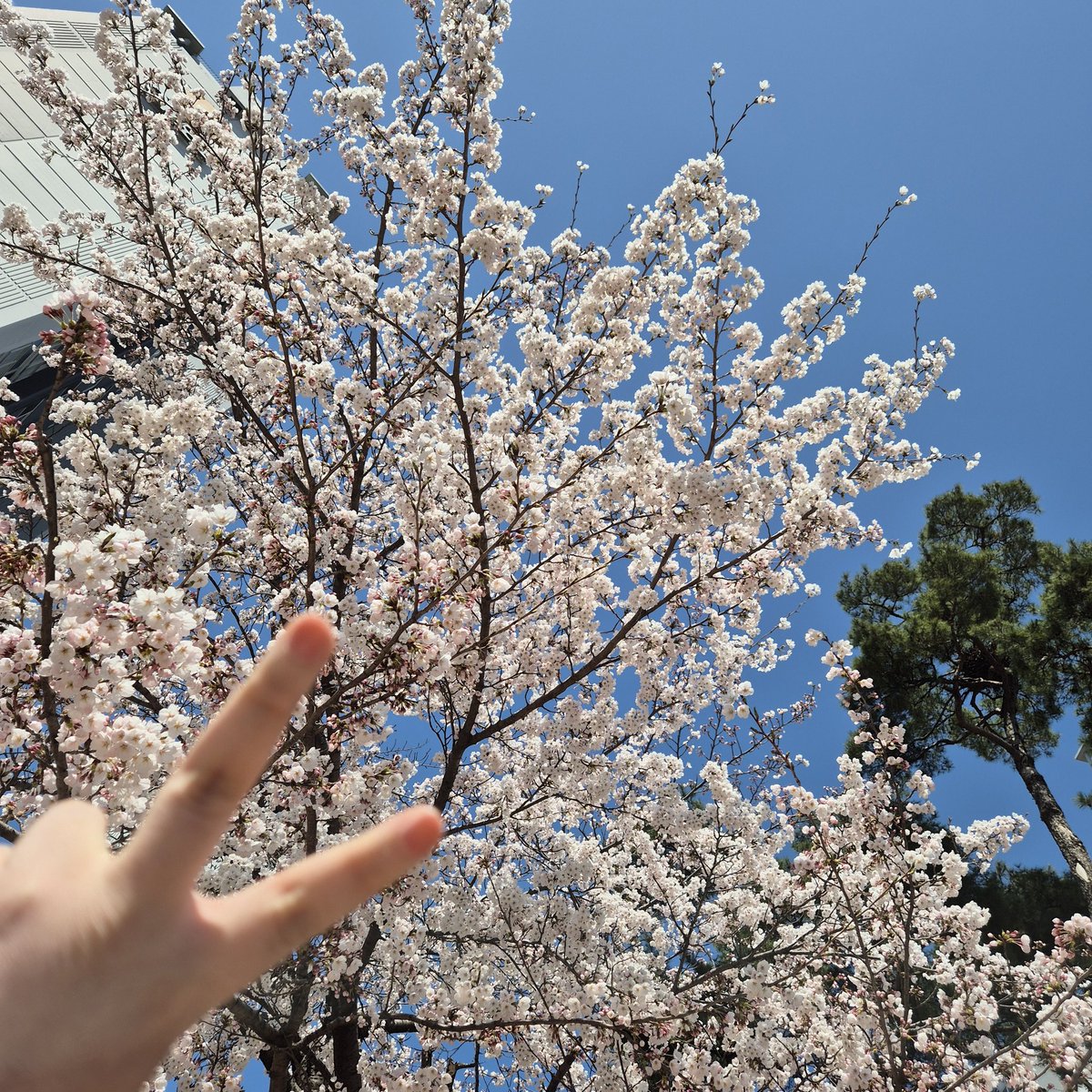 캬라메 아또 🐹☕️ tweet media