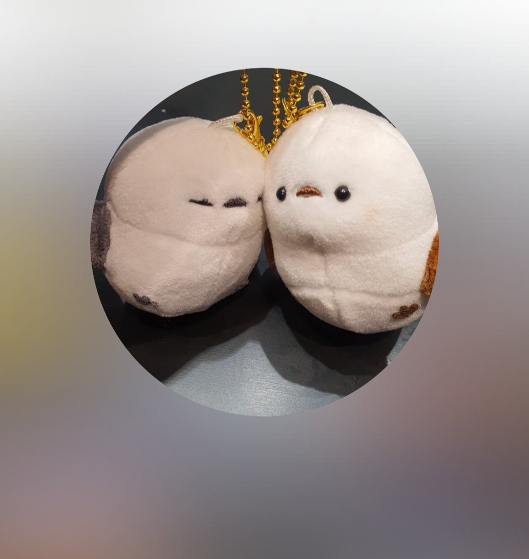 it 🧊 📧 tweet media