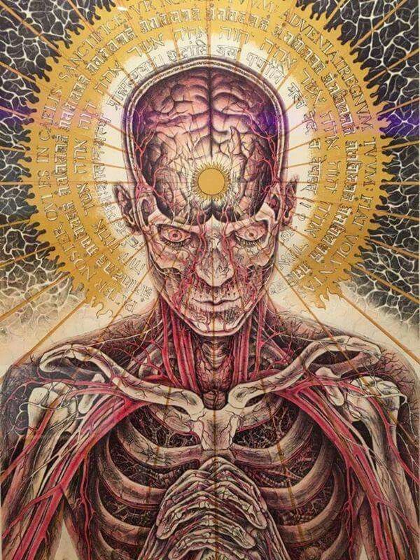 Killswitch tweet media