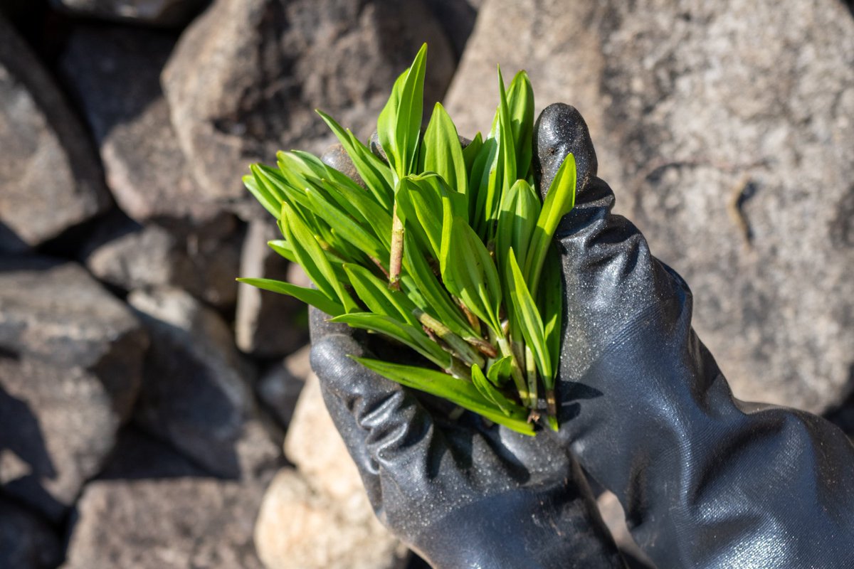 Koh nabe tweet media