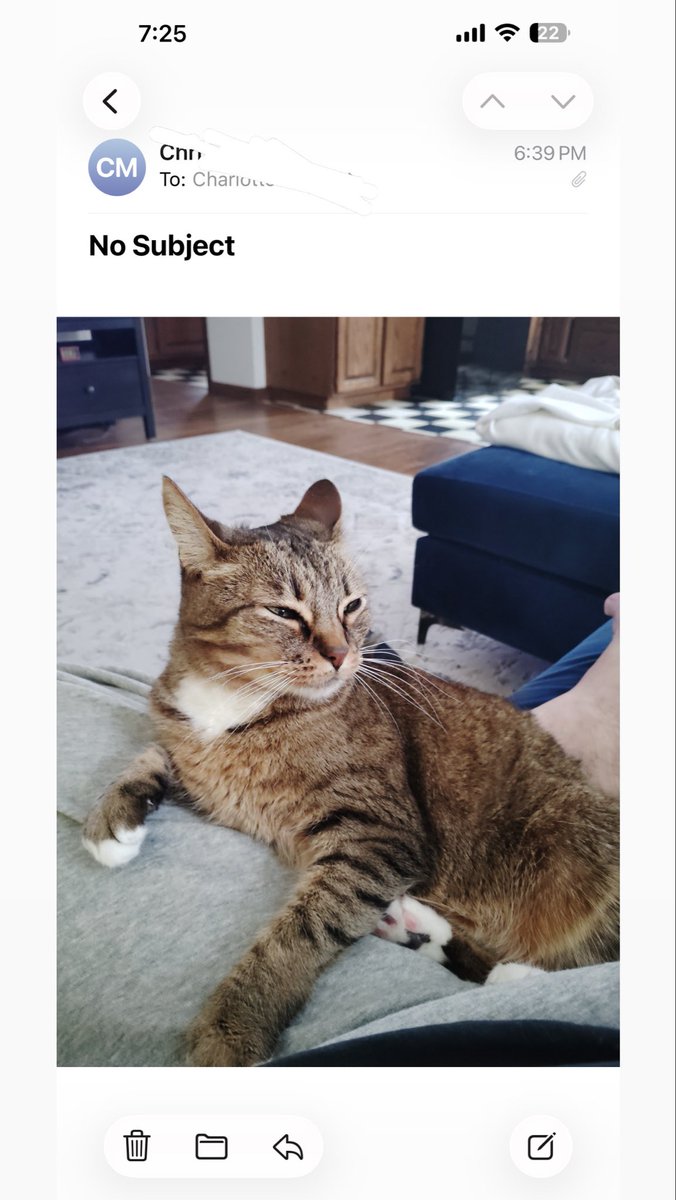 charlotte tweet media