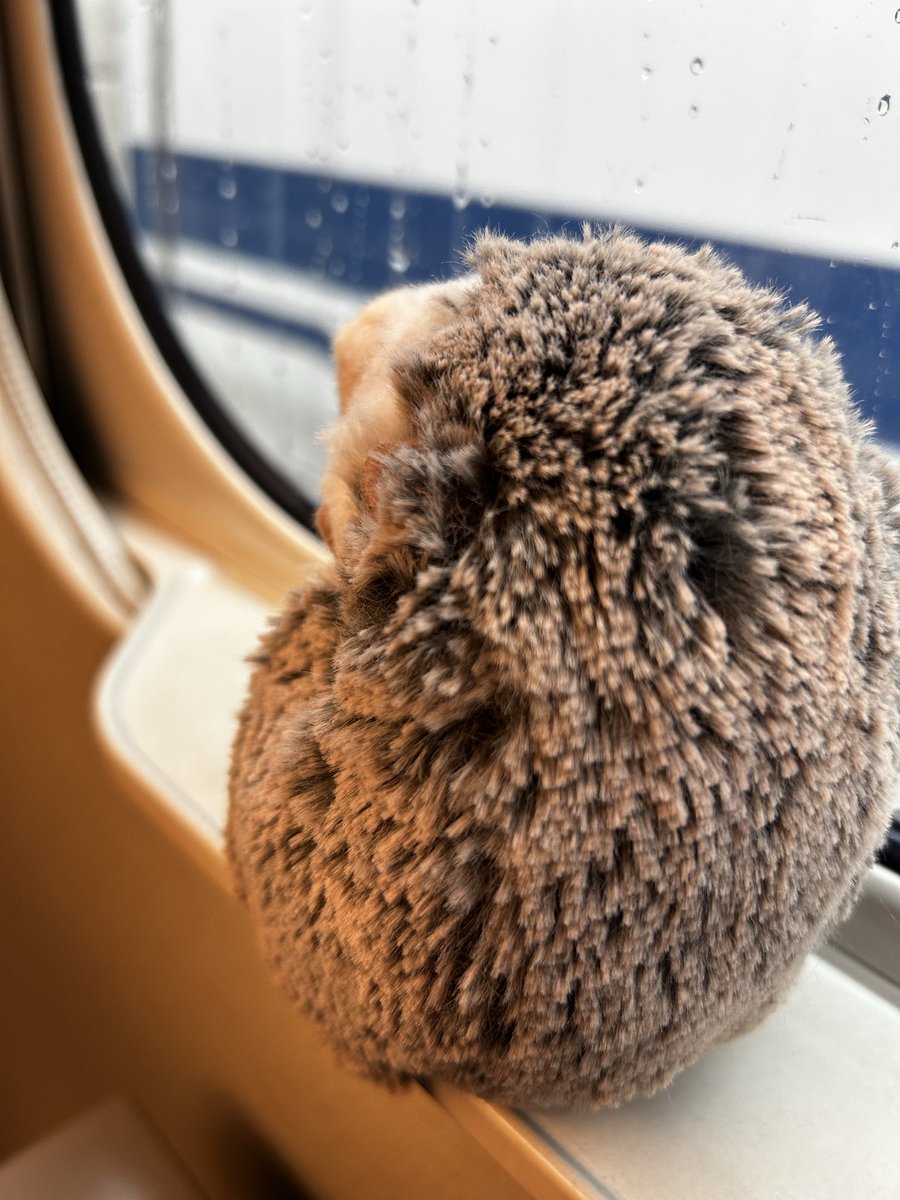 りさまま tweet media