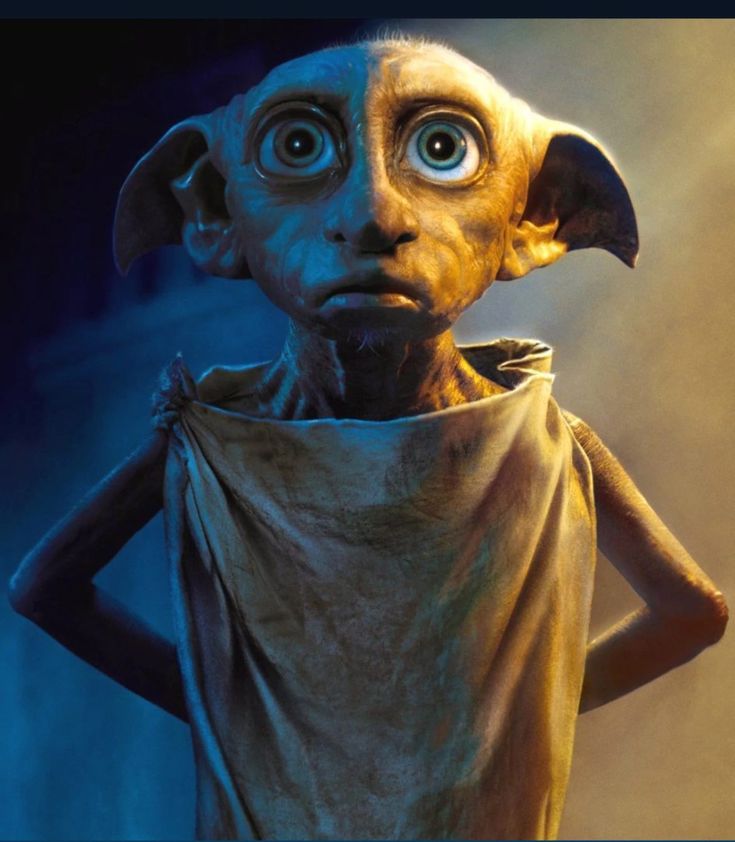 acervo dobby tweet media