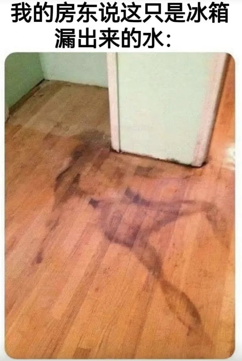 利维坦冲浪里 tweet media