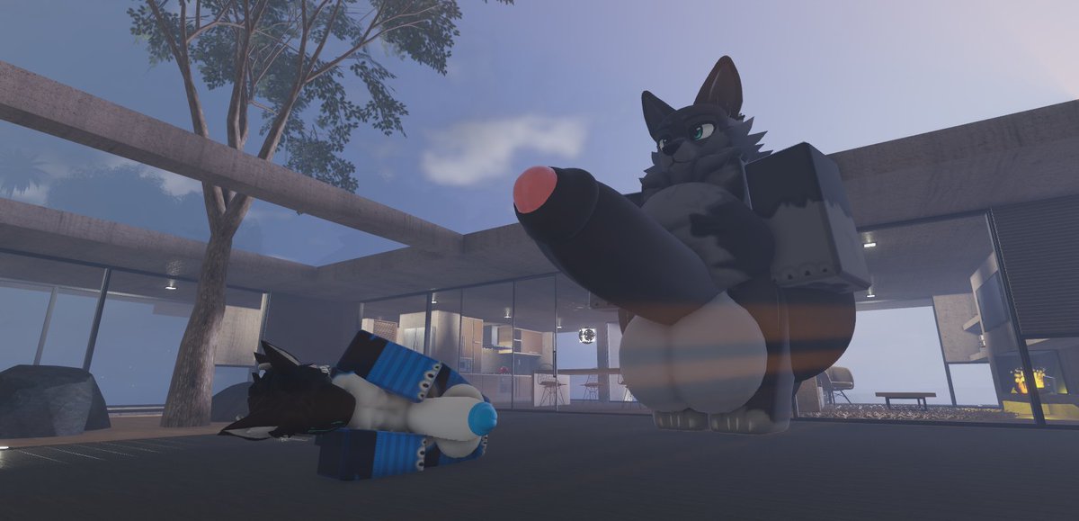 bo_knoob uwu tweet media