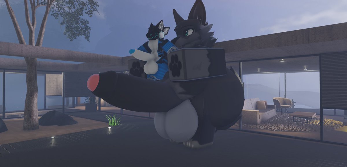 bo_knoob uwu tweet media