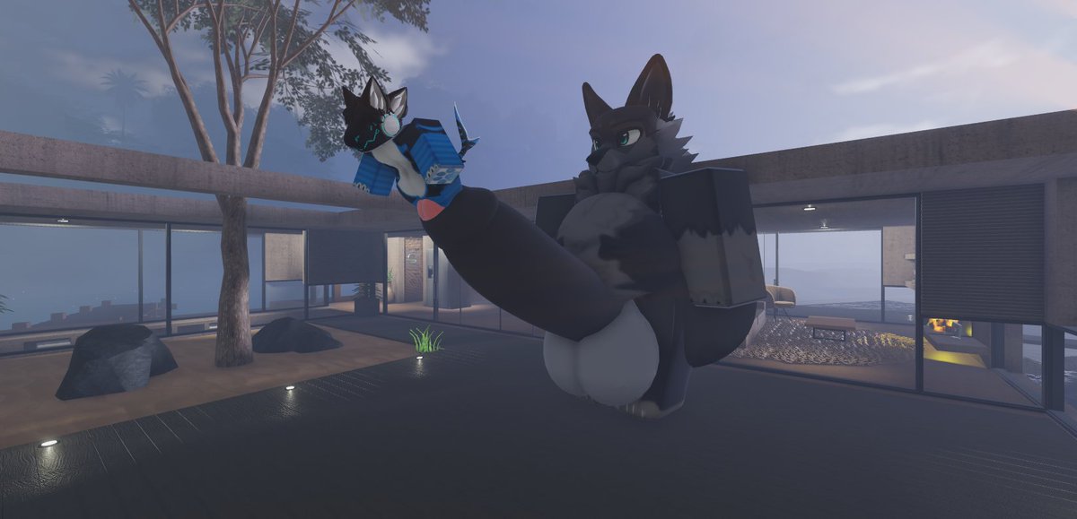 bo_knoob uwu tweet media