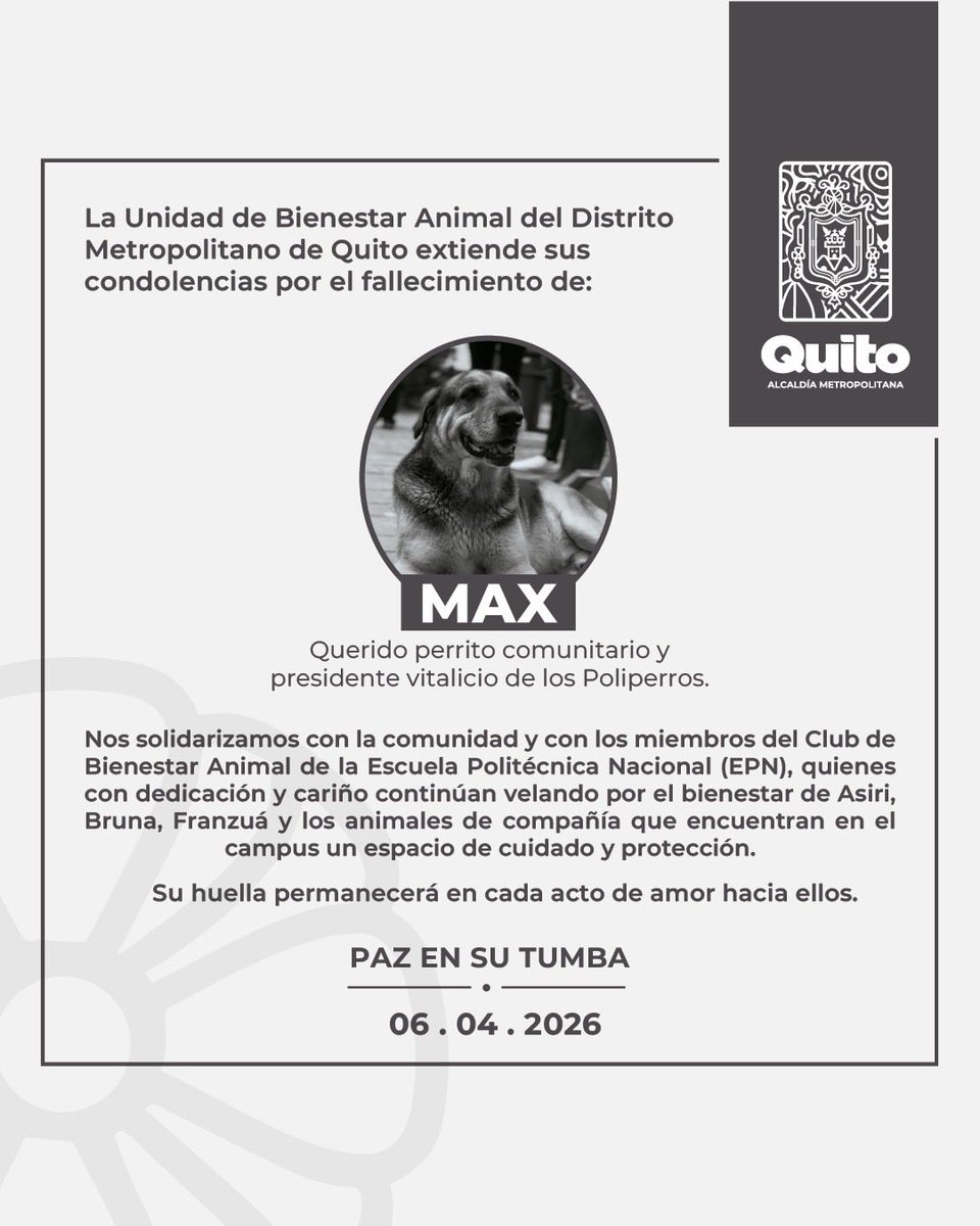 Unidad de Bienestar Animal Quito tweet media