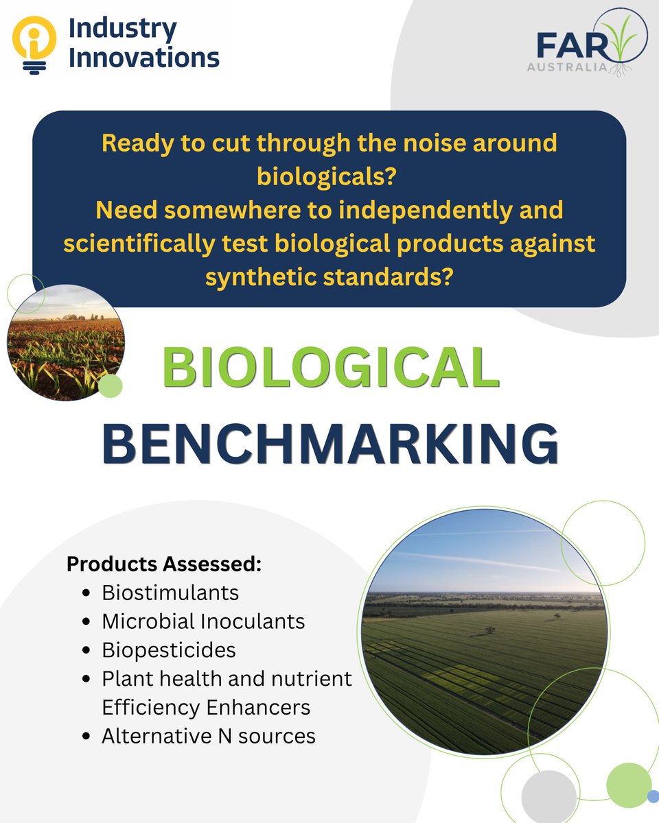 FAR Australia tweet media