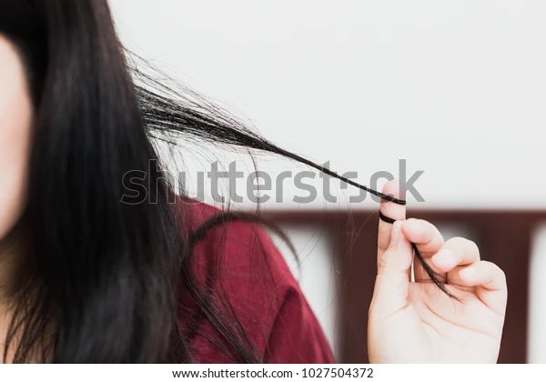 2hollis Shady Facts tweet media