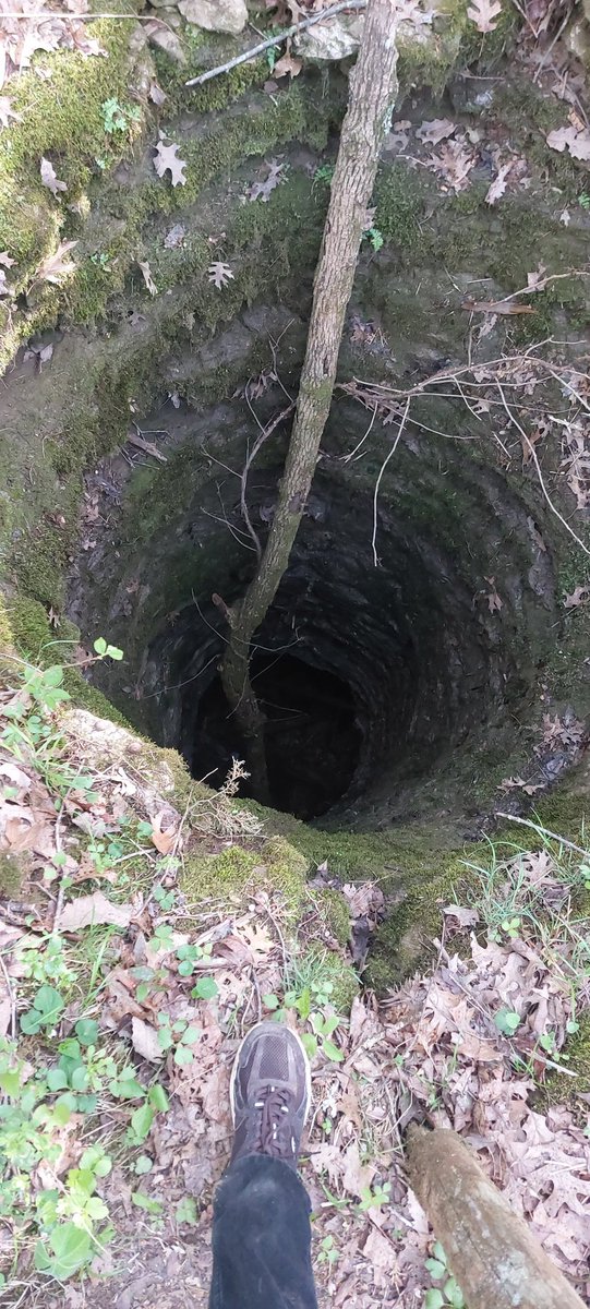 Λllyuzer tweet media