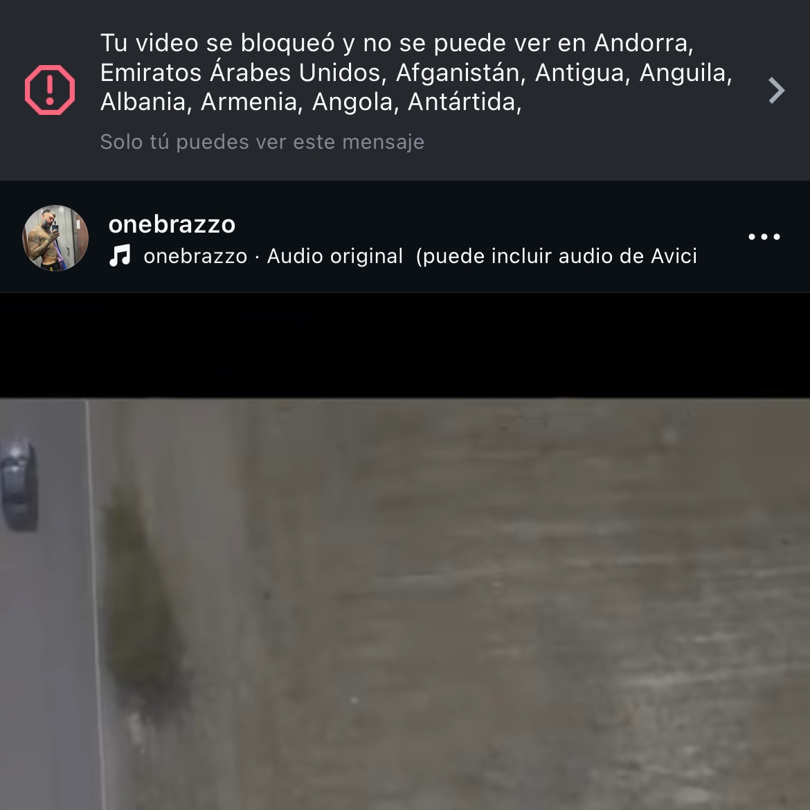 OneBrazzo tweet media