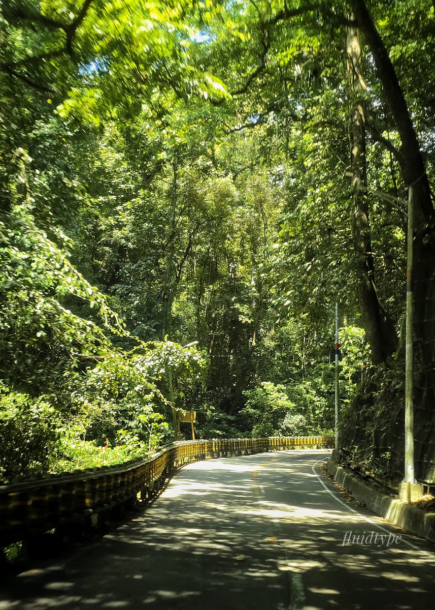 𝔇𝔢𝔢 tweet media