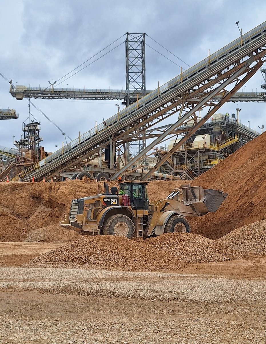 BasedTexan tweet media