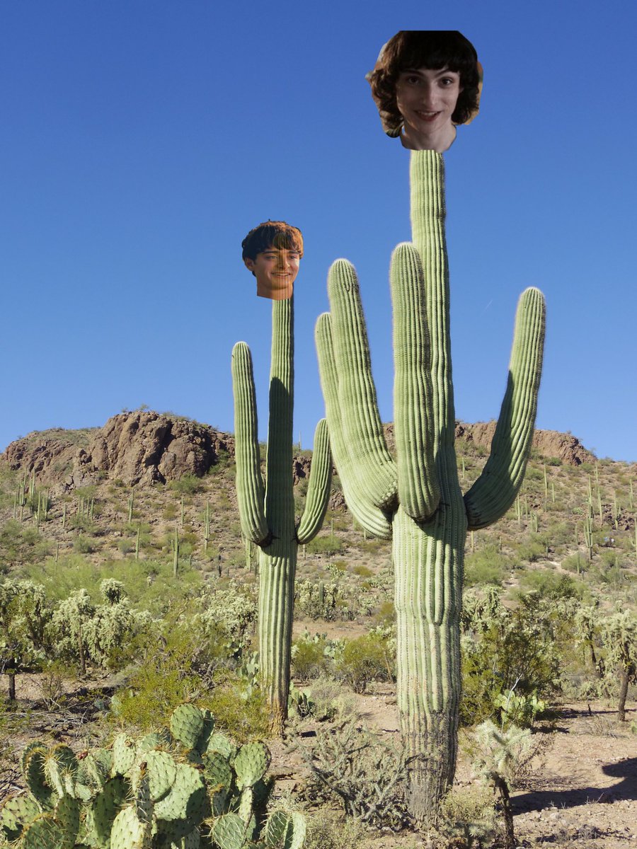 ember 🍉 necromancer will ceo tweet media