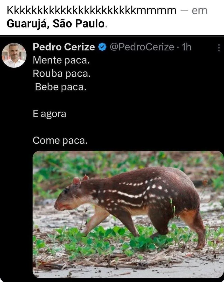 Roger Rocha Moreira tweet media