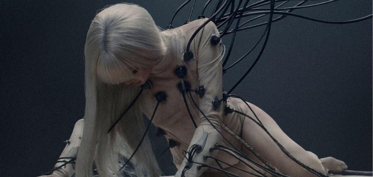 LISA BRASIL tweet media