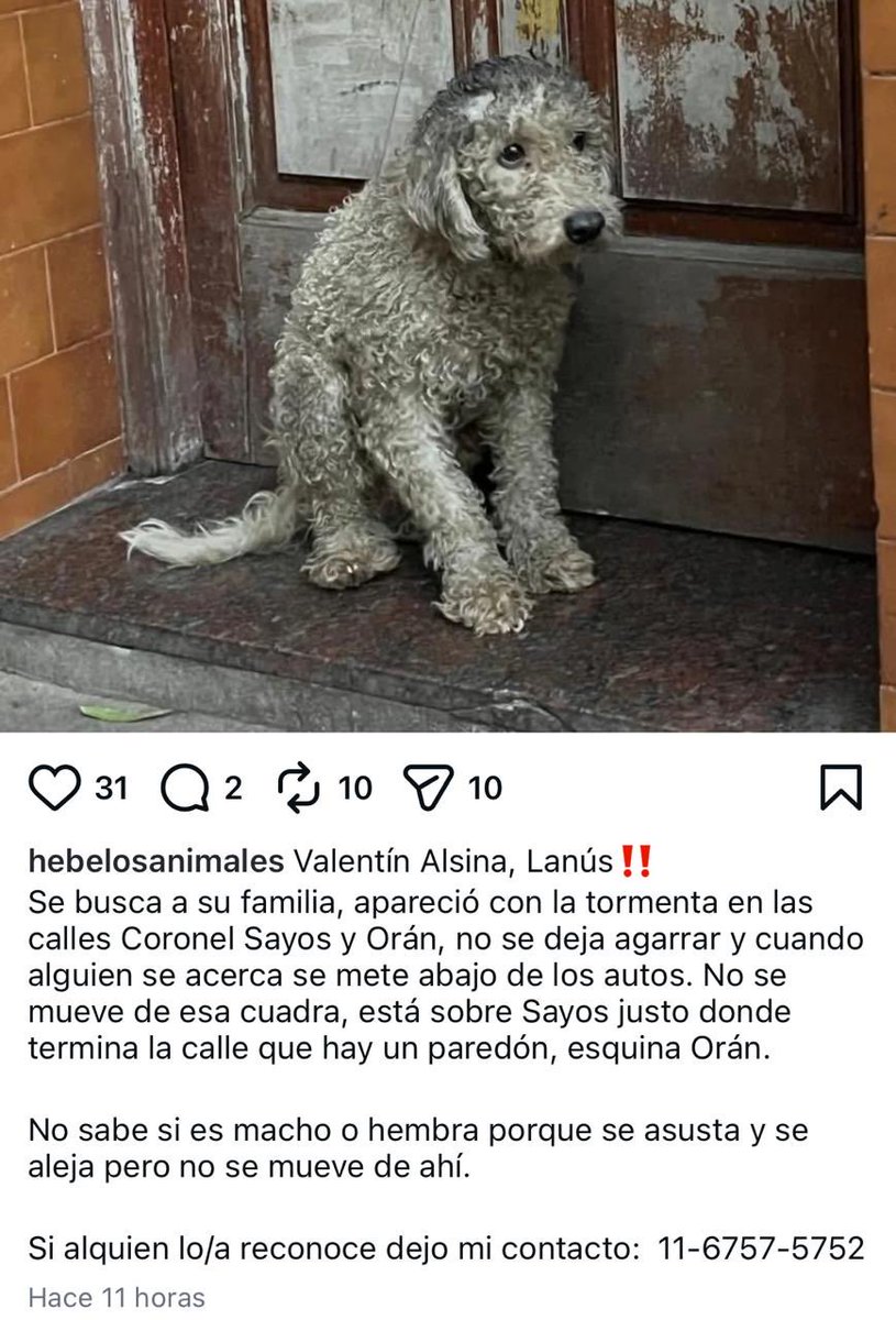 Beto Valdez tweet media