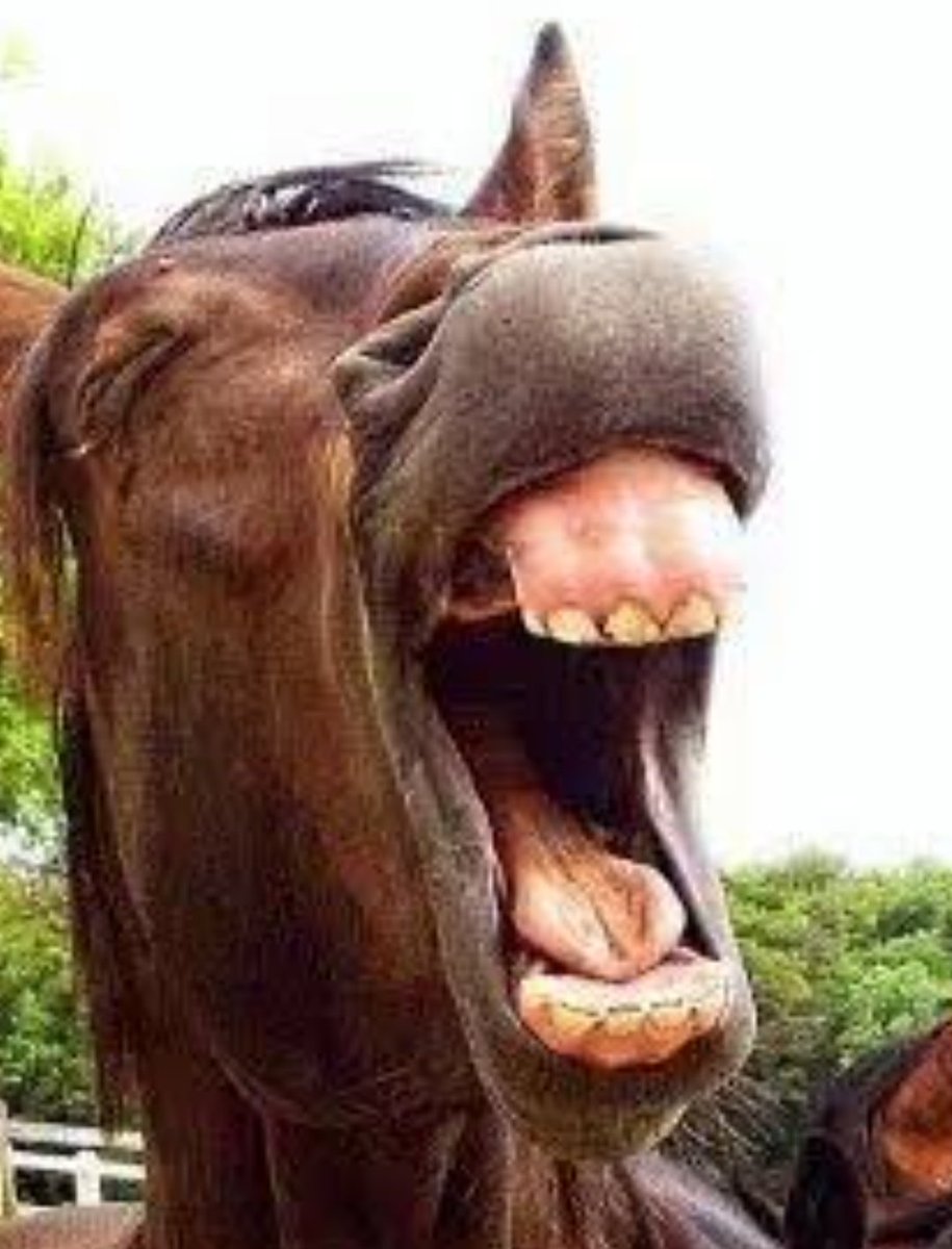 Paco Galvan tweet media