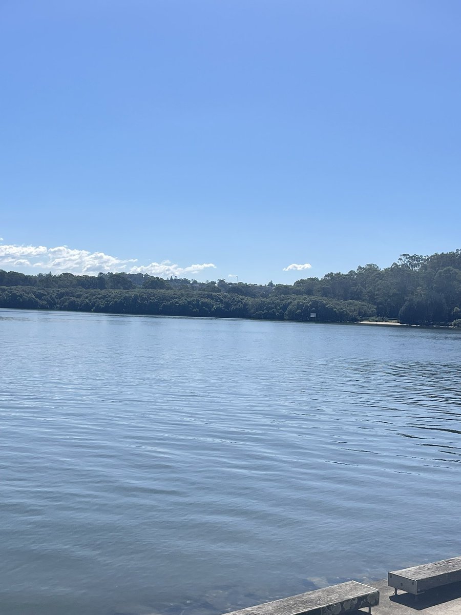 Taotao❤️🇦🇺🇺🇸🇮🇱🇯🇵❤️ tweet media