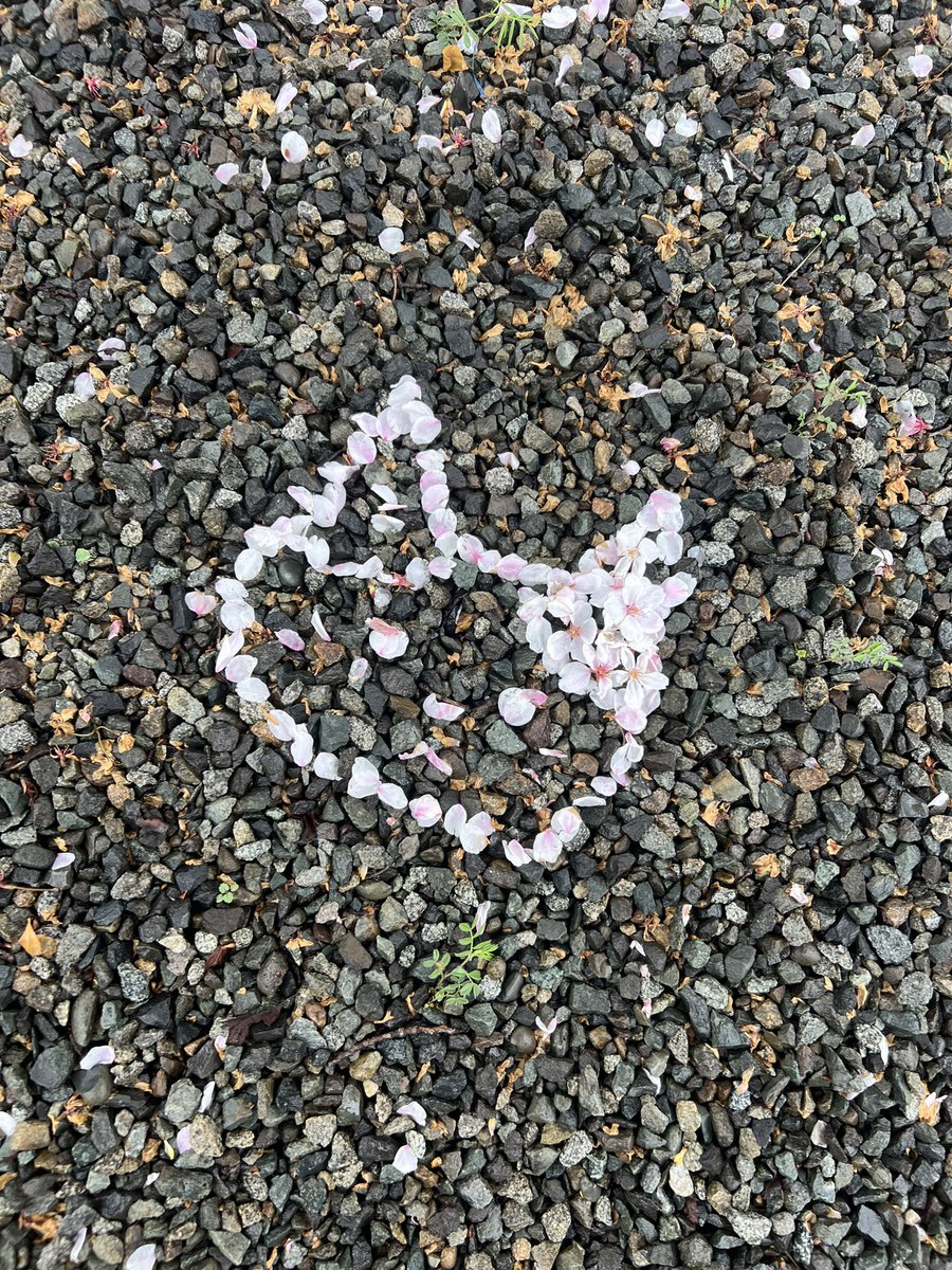 do🍓ZB1 COMEBACK&AND2BLE DEBUT tweet media