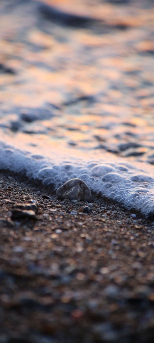 🇸🇦* سُمـو الـروح *.r_ 🤍 tweet media