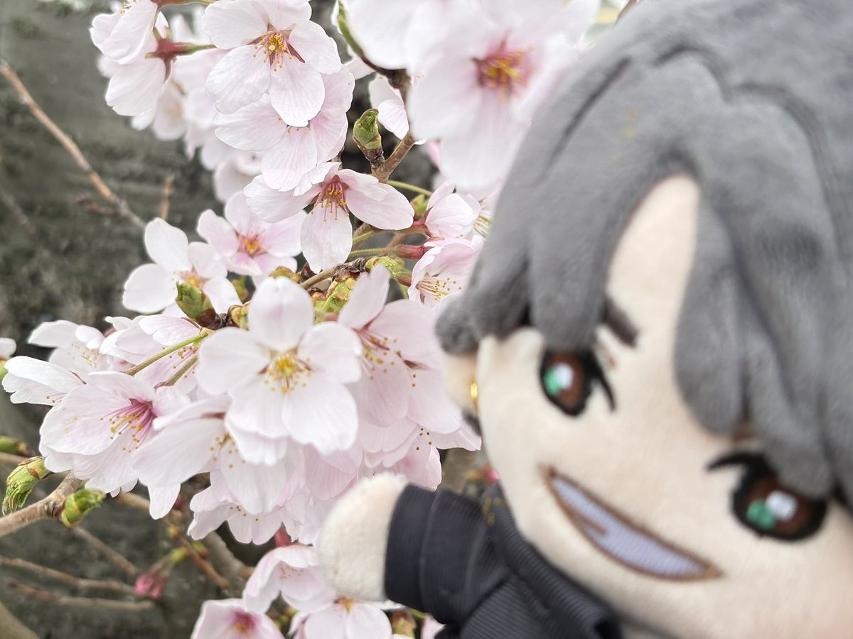 りなちぃ tweet media