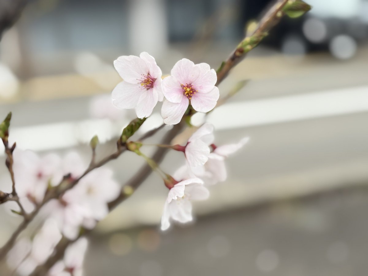 りなちぃ tweet media