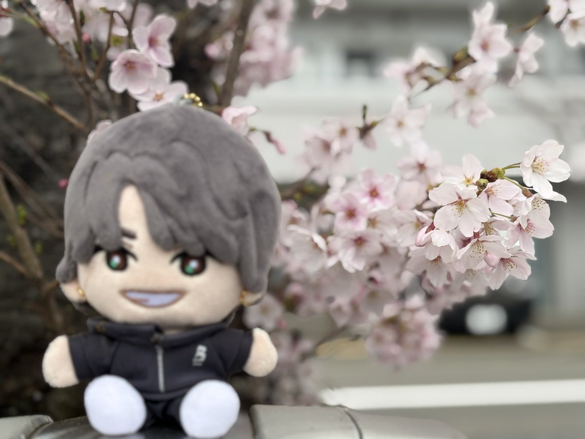 りなちぃ tweet media