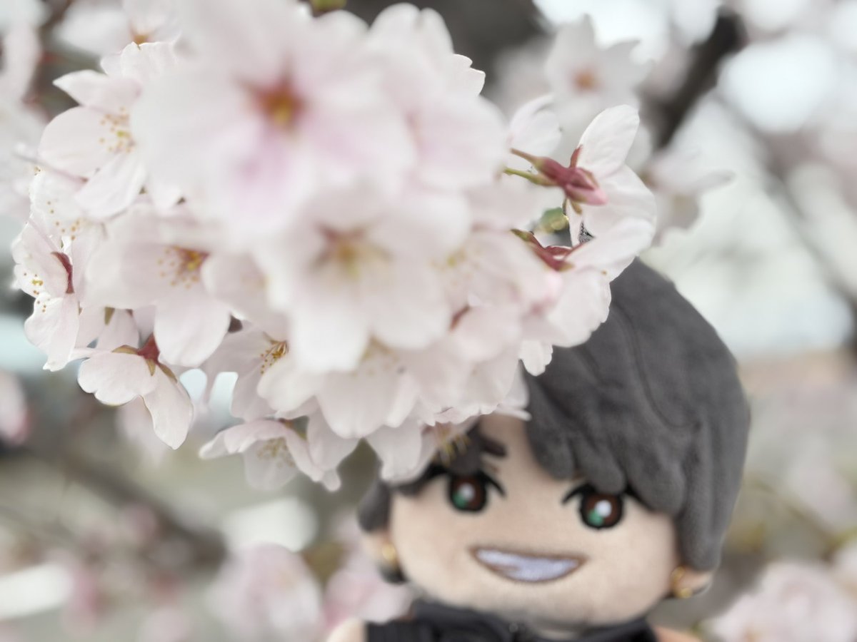 りなちぃ tweet media