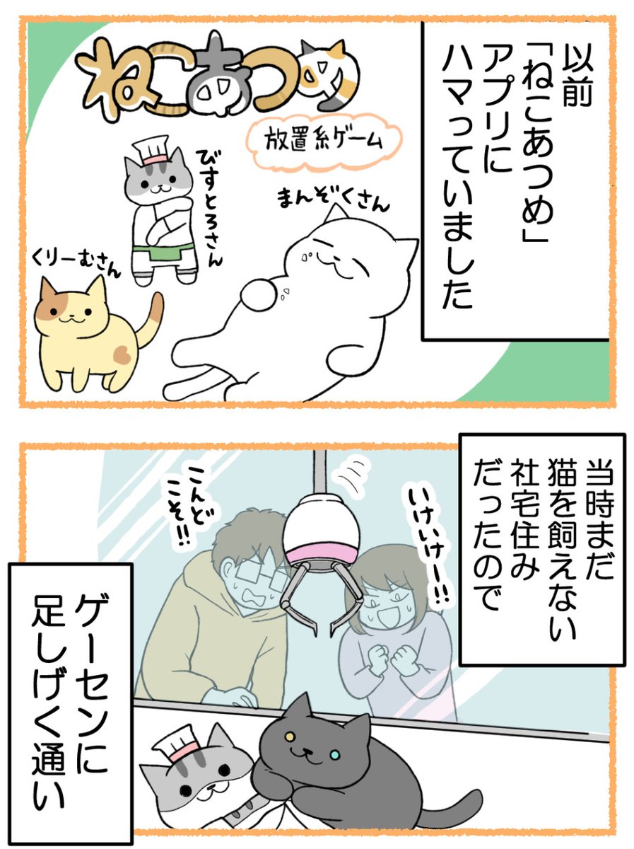 ねこあつめ・びすとろさんの惨劇(1/2) 