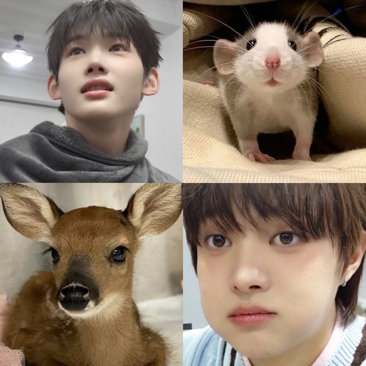 saxyjuju's tweet image. do you see my #vision