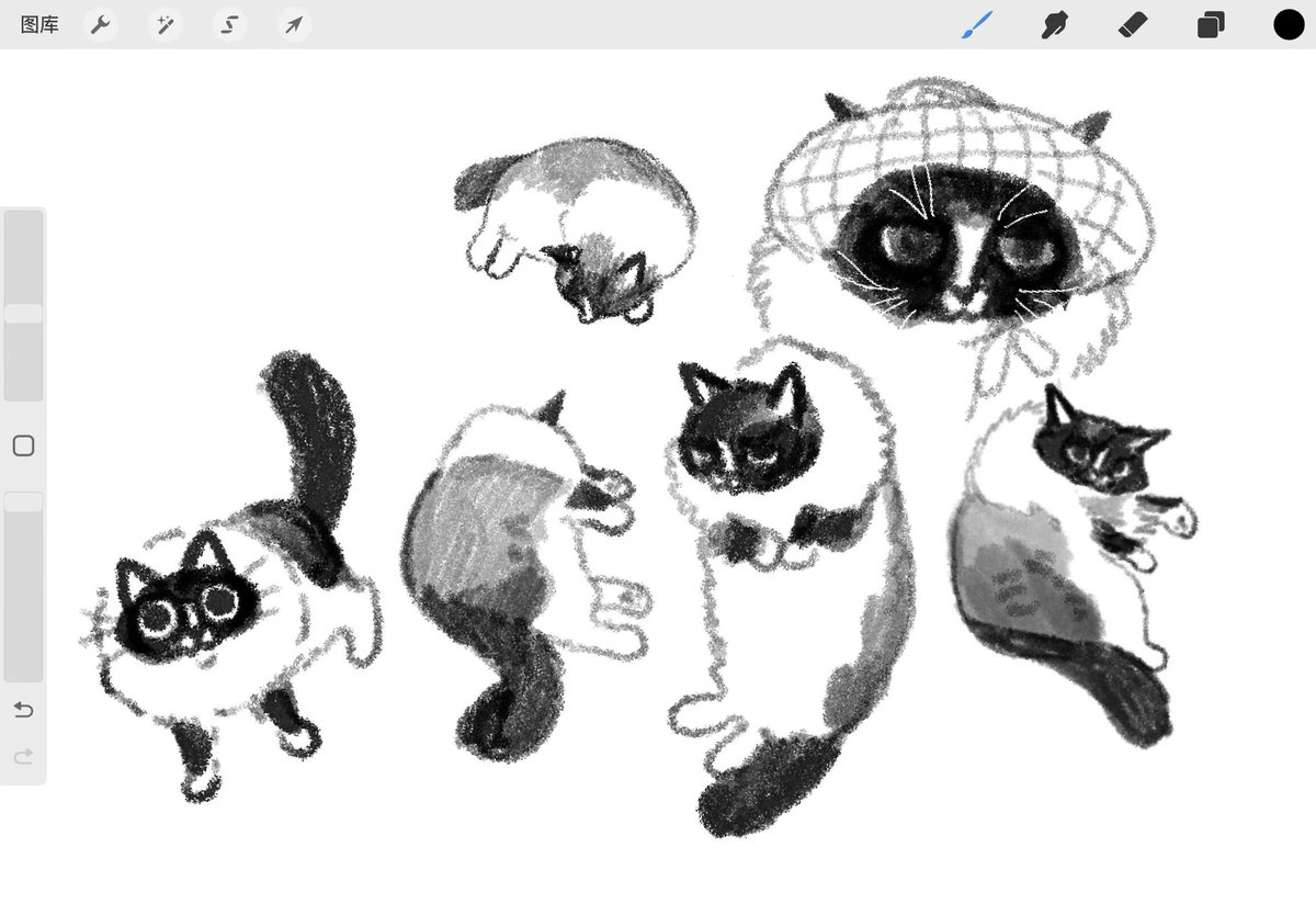 氵炎🍳 (@hamusitas) on Twitter photo 