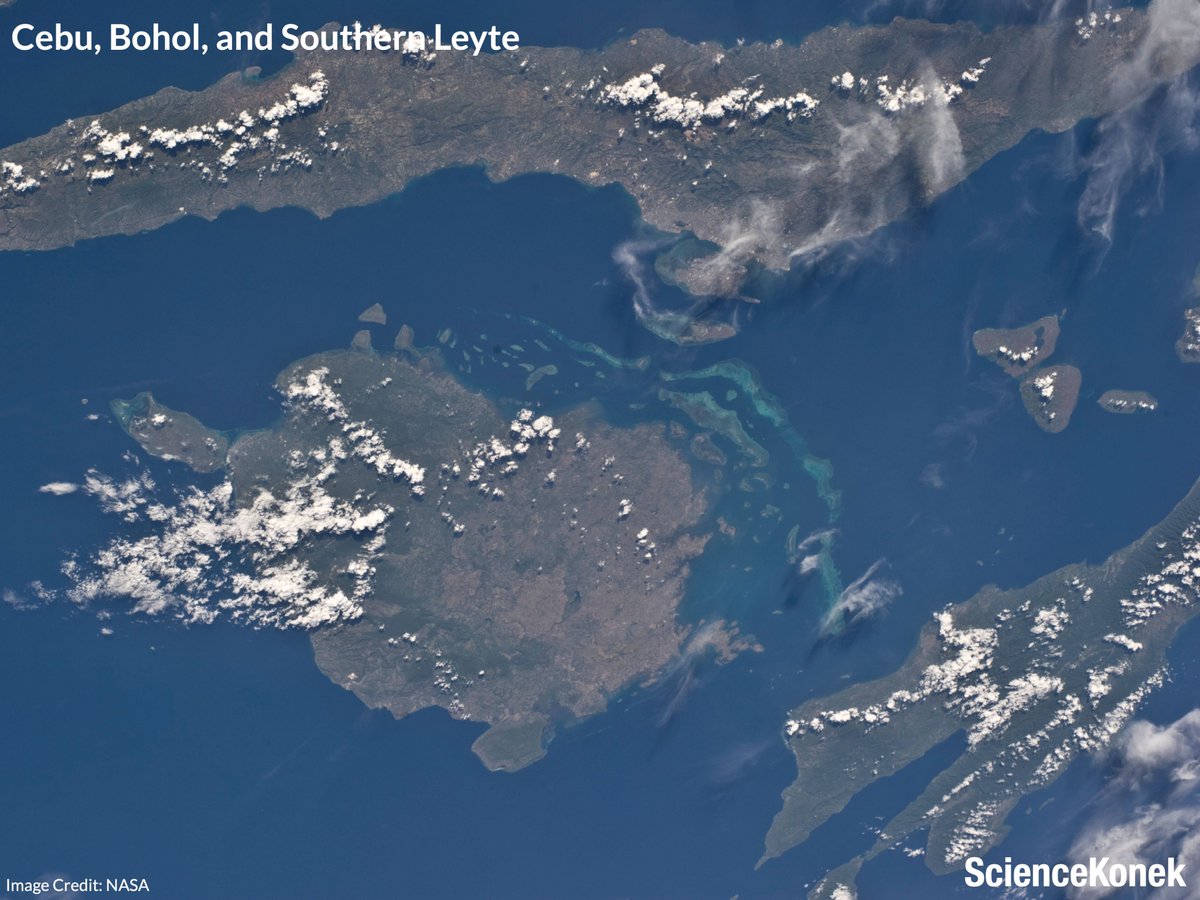 ScienceKonek tweet media