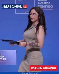 volantínsincola 💚 tweet media