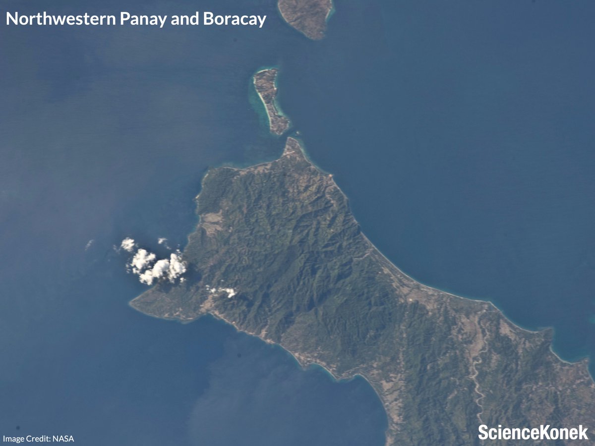 ScienceKonek tweet media