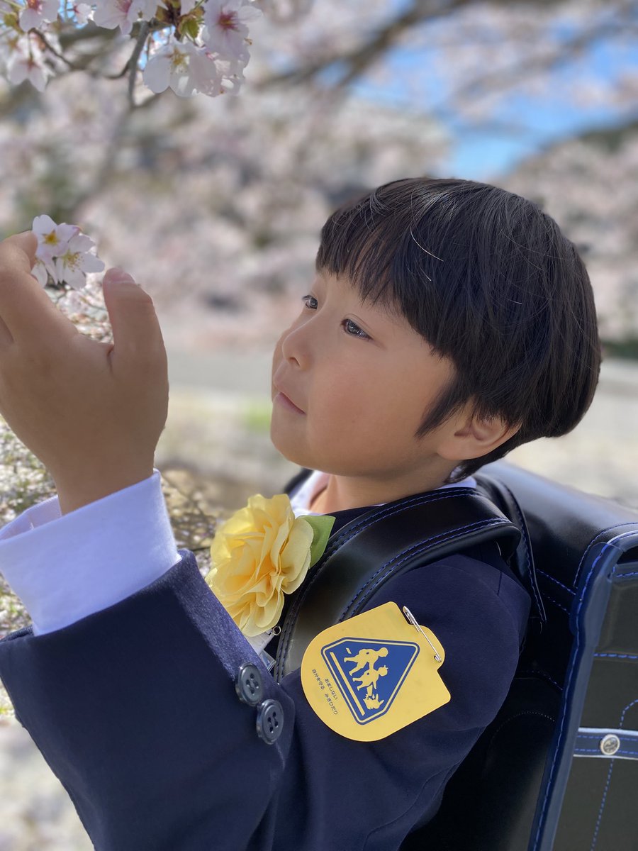 おめぇちゃんだよ tweet media