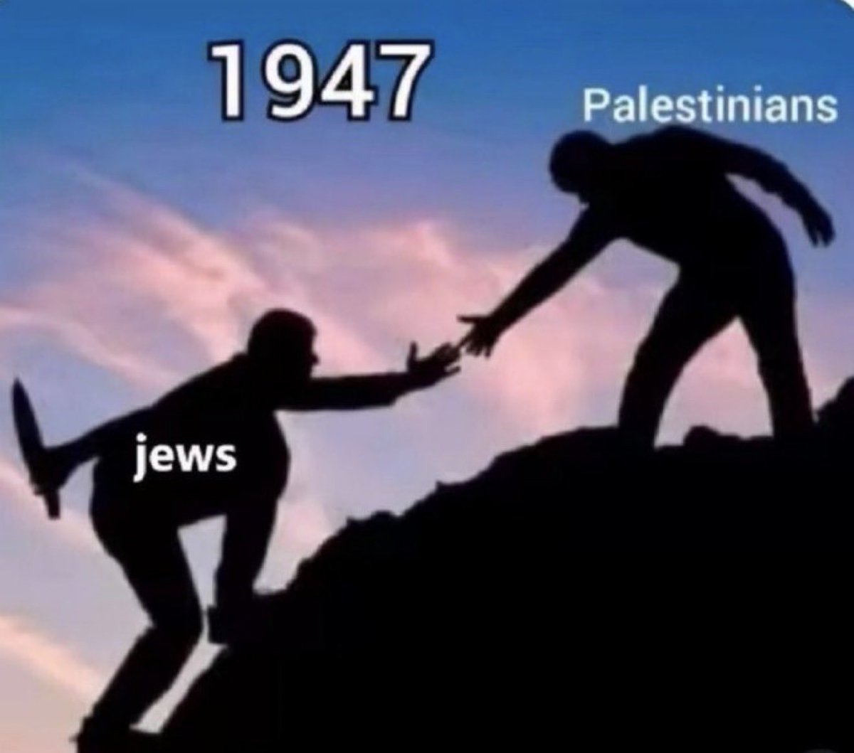 Distinct Experiences tweet media