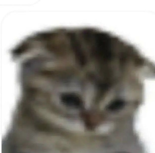 Ty 💪Missing Usiel, so much⚔️ tweet media