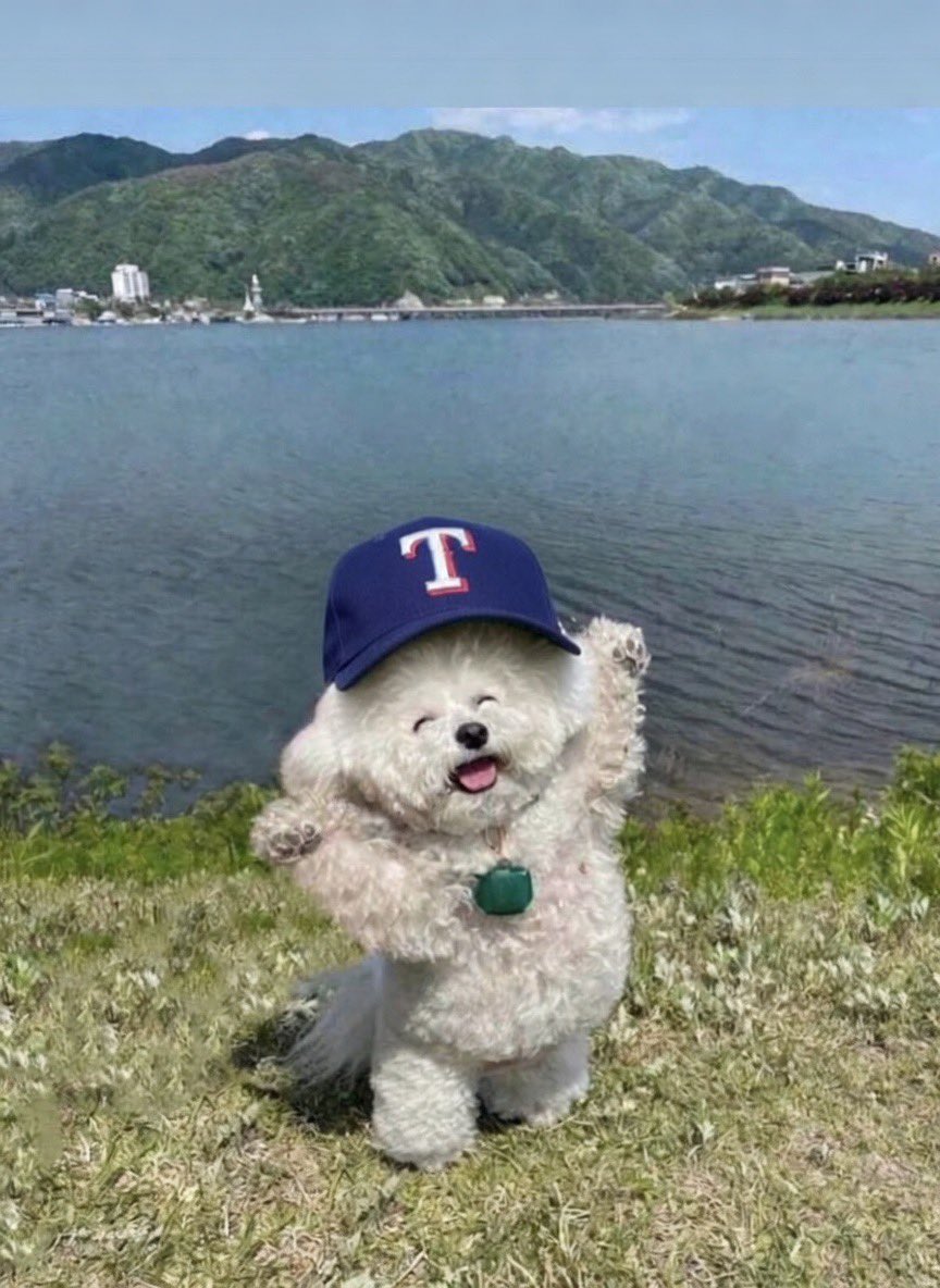 Brian Foley tweet media