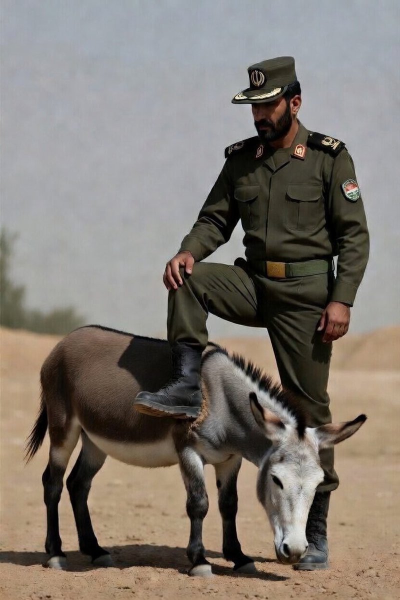 سلمان بن حثلين tweet media