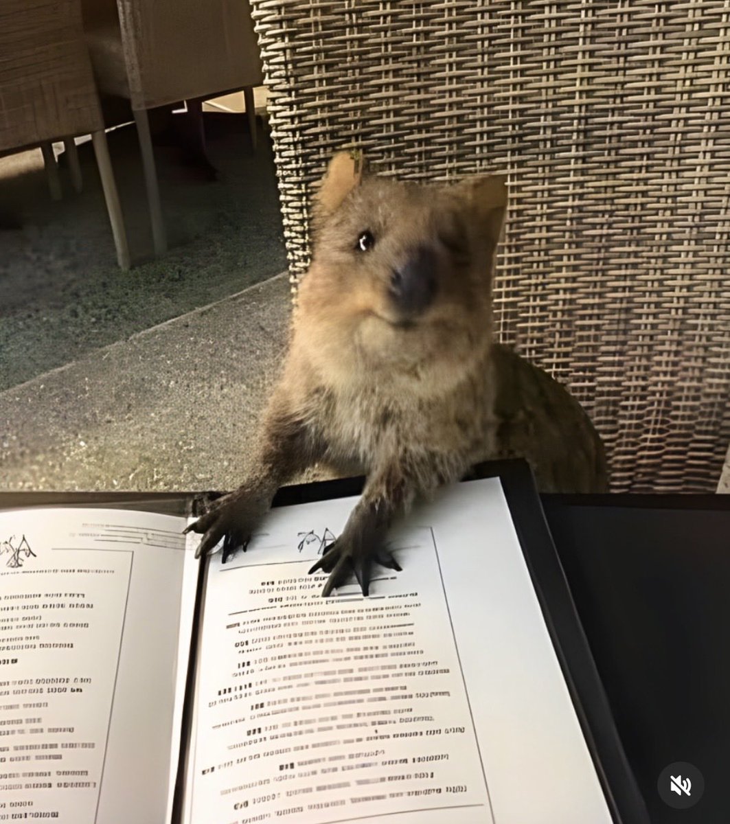 Carol Roth tweet media