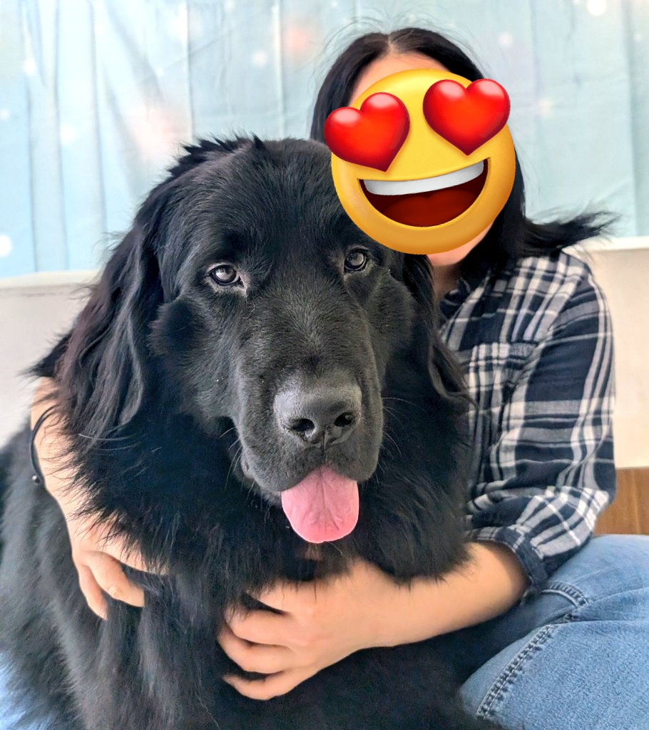 たけち tweet media