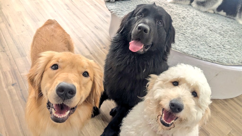 たけち tweet media